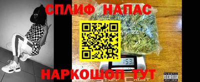 PSILOCYBIN Балахна