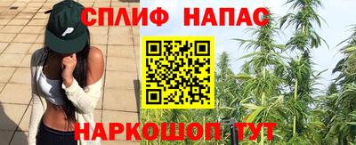 PSILOCYBIN Балахна