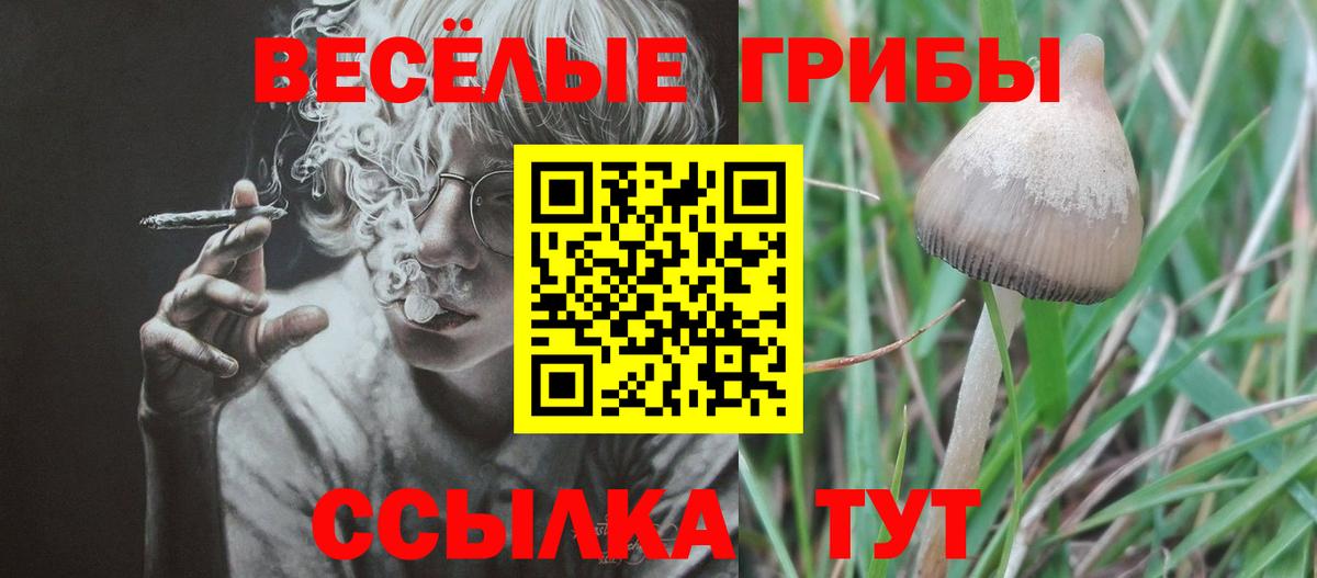 Галлюциногенные грибы мухоморы Городец