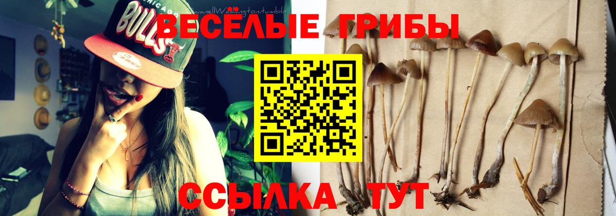 Городец  Псилоцибиновые грибы мухоморы  Вход с VPN 